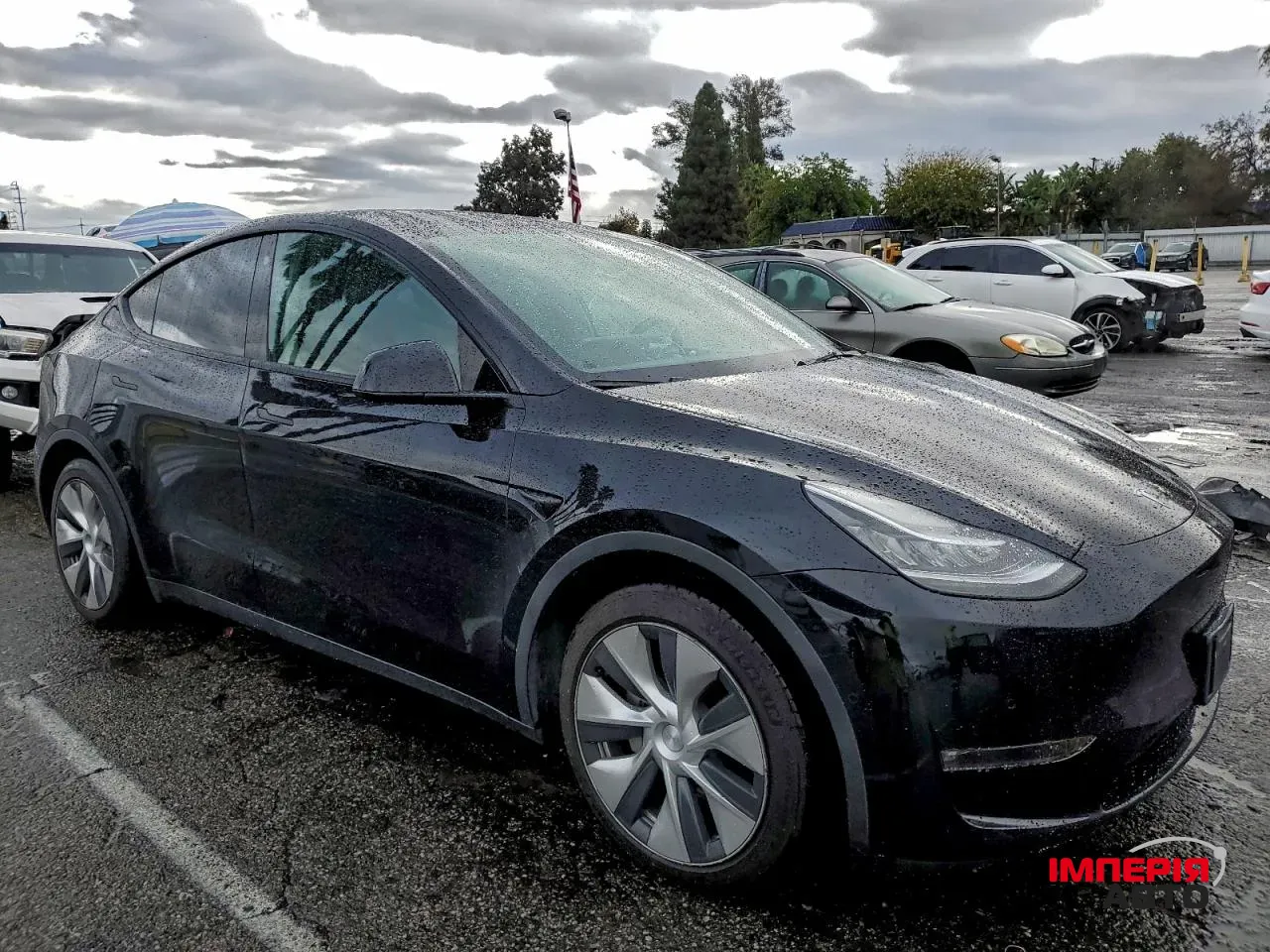 Tesla Model Y - фото 1
