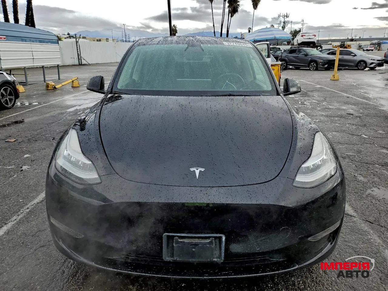 Tesla Model Y - фото 2
