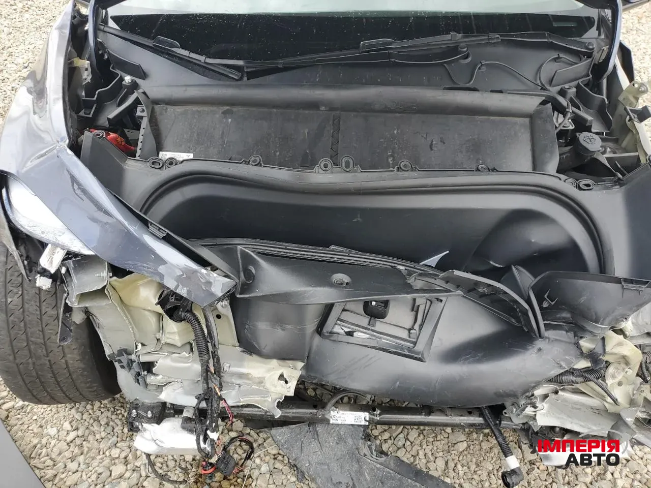 Tesla Model Y - фото 5