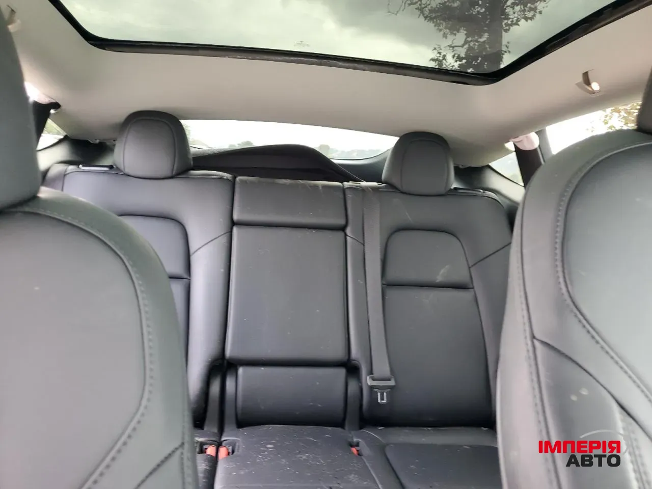 Tesla Model Y - фото 3