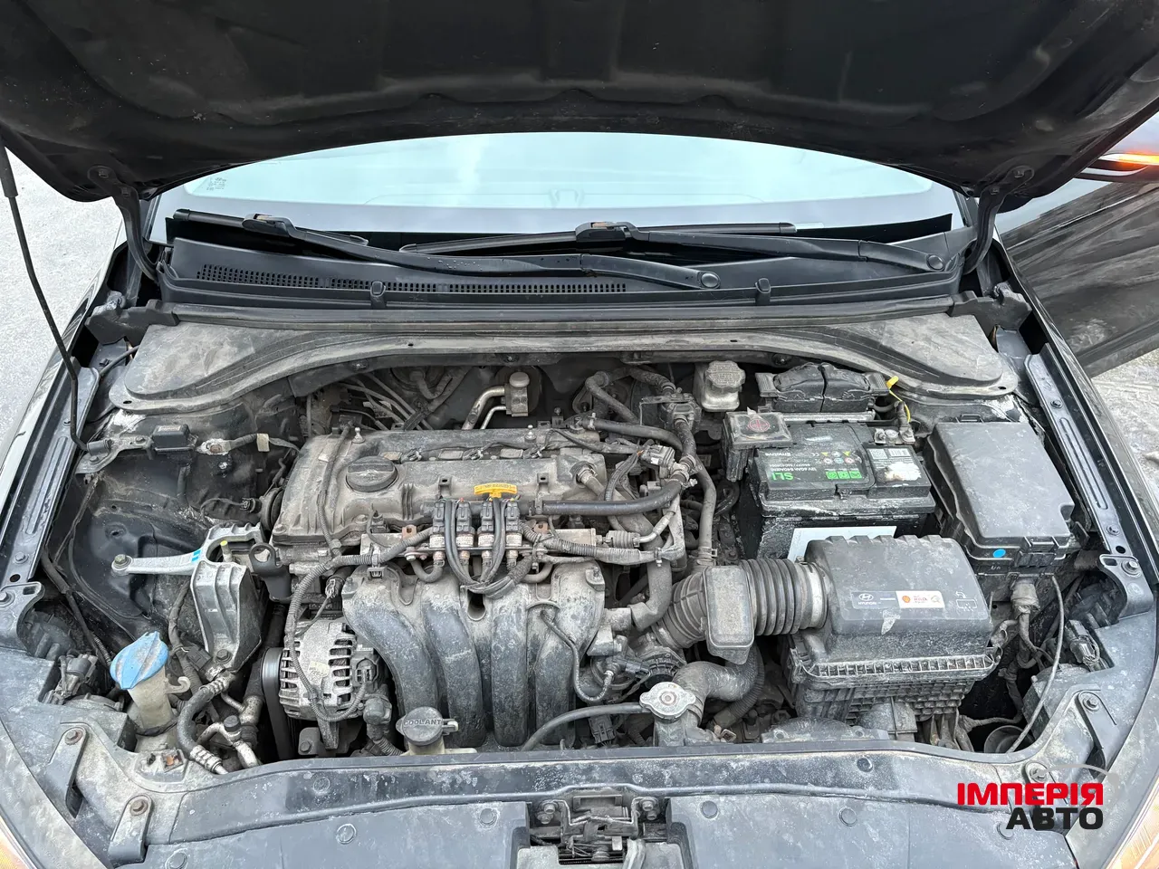 Hyundai Elantra - фото 18