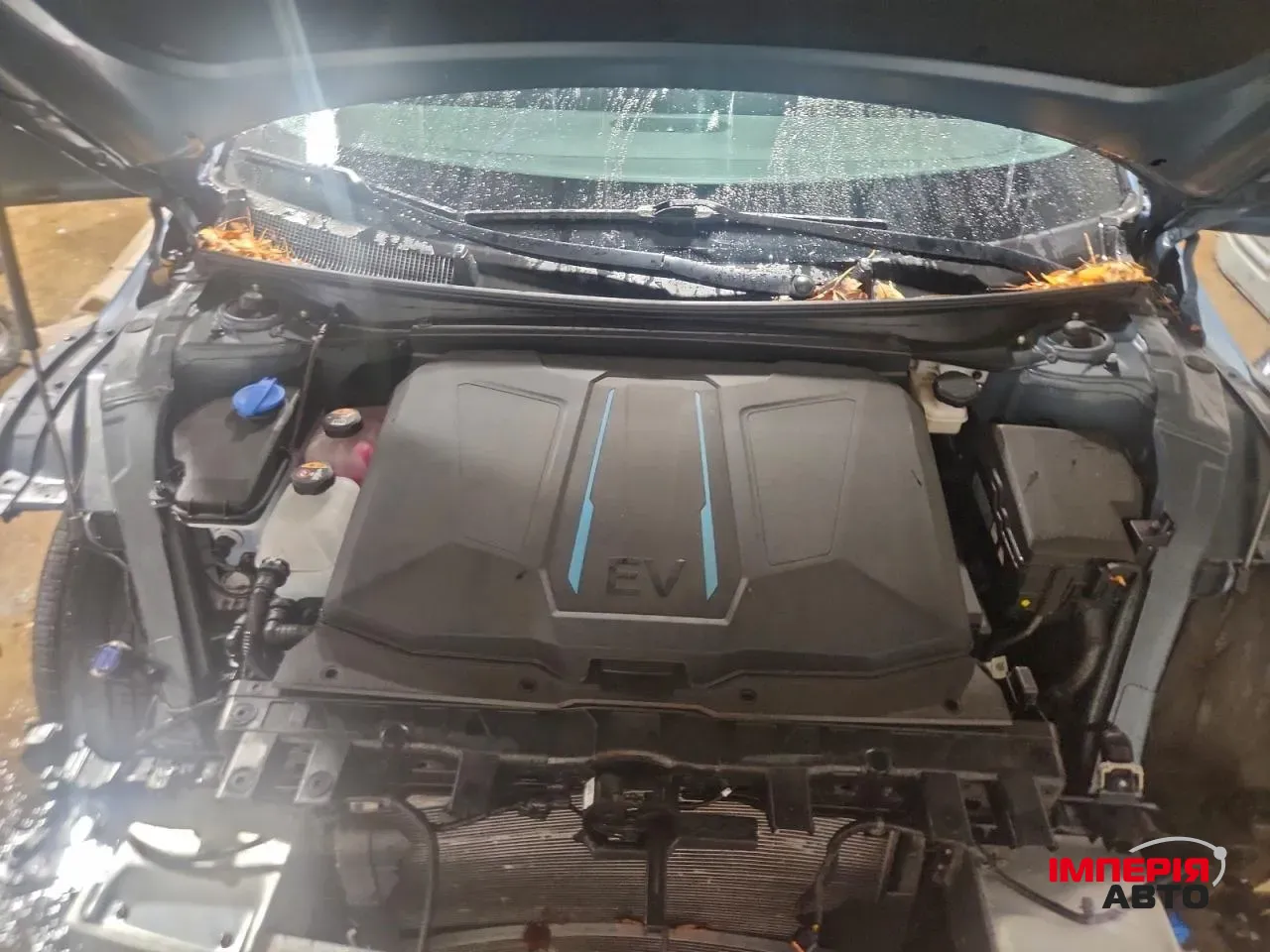 Hyundai IONIQ 5 - фото 5