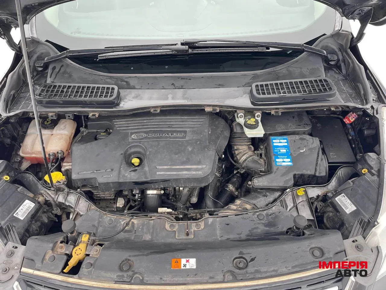 Ford Kuga - фото 10