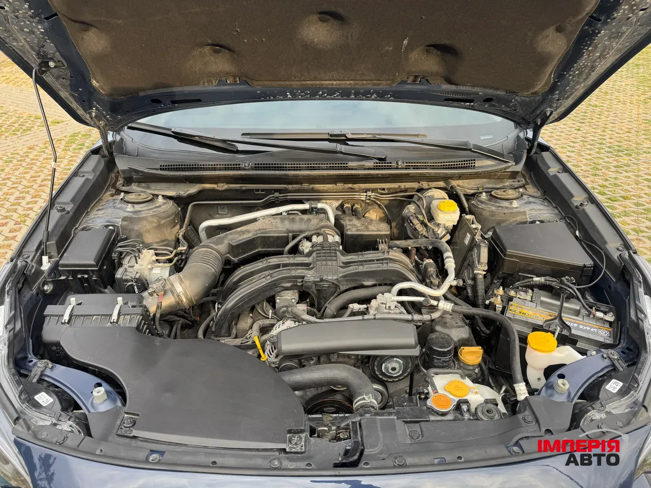 Subaru Outback - фото 21