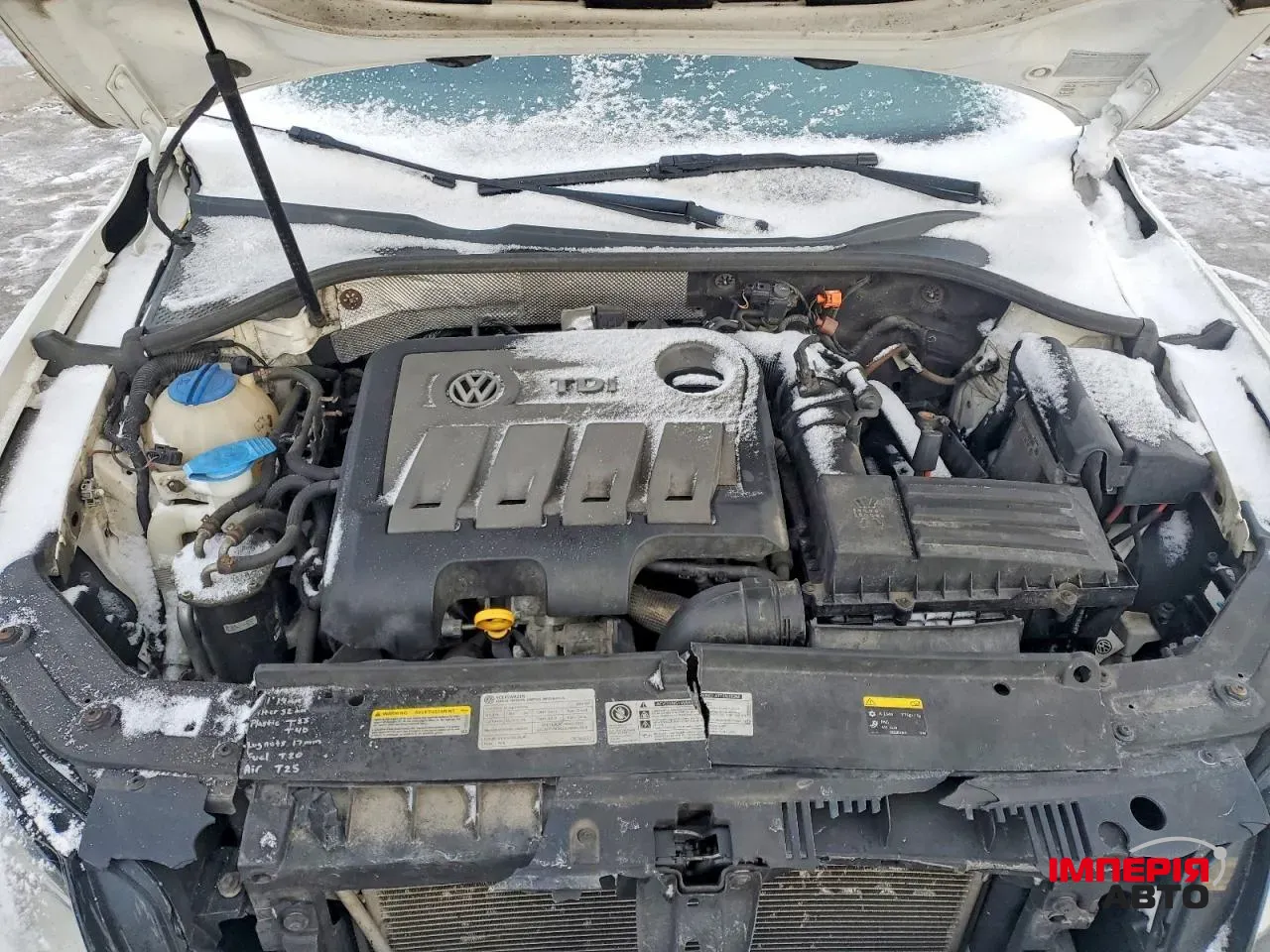 Volkswagen Passat (North America and China) - фото 11