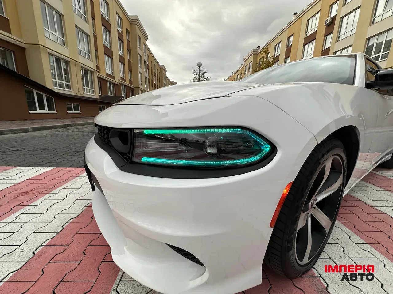 Dodge Charger - фото 46
