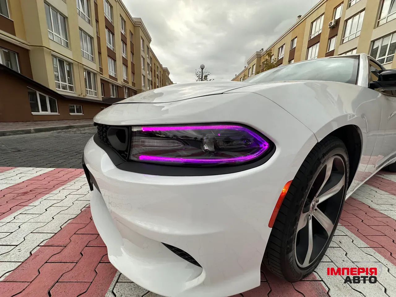 Dodge Charger - фото 45