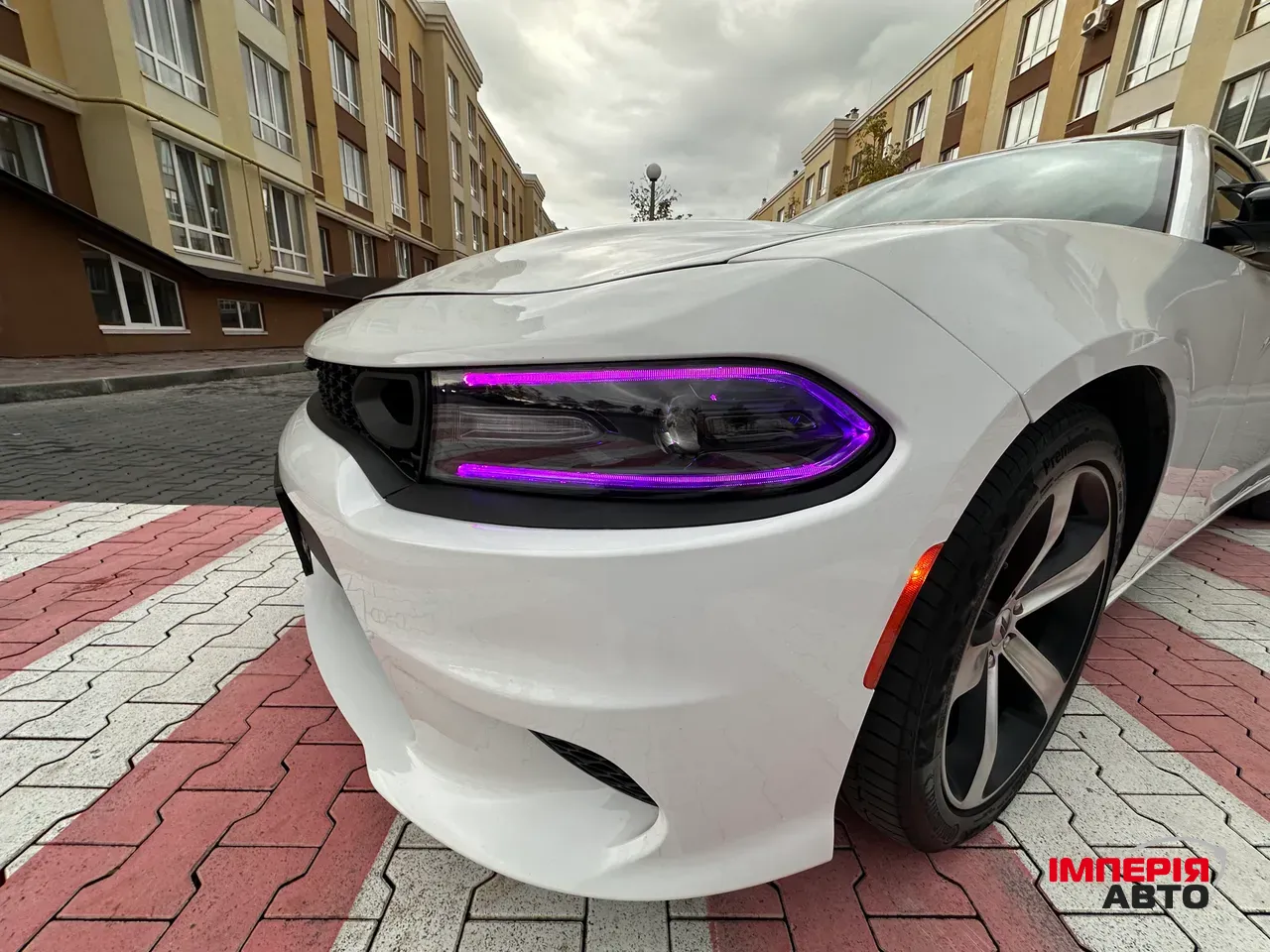 Dodge Charger - фото 48