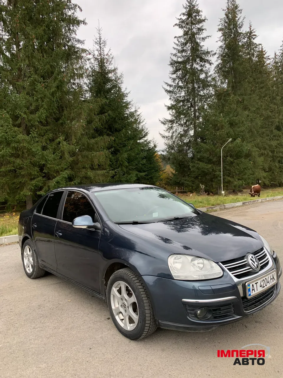 Volkswagen Jetta - фото 6