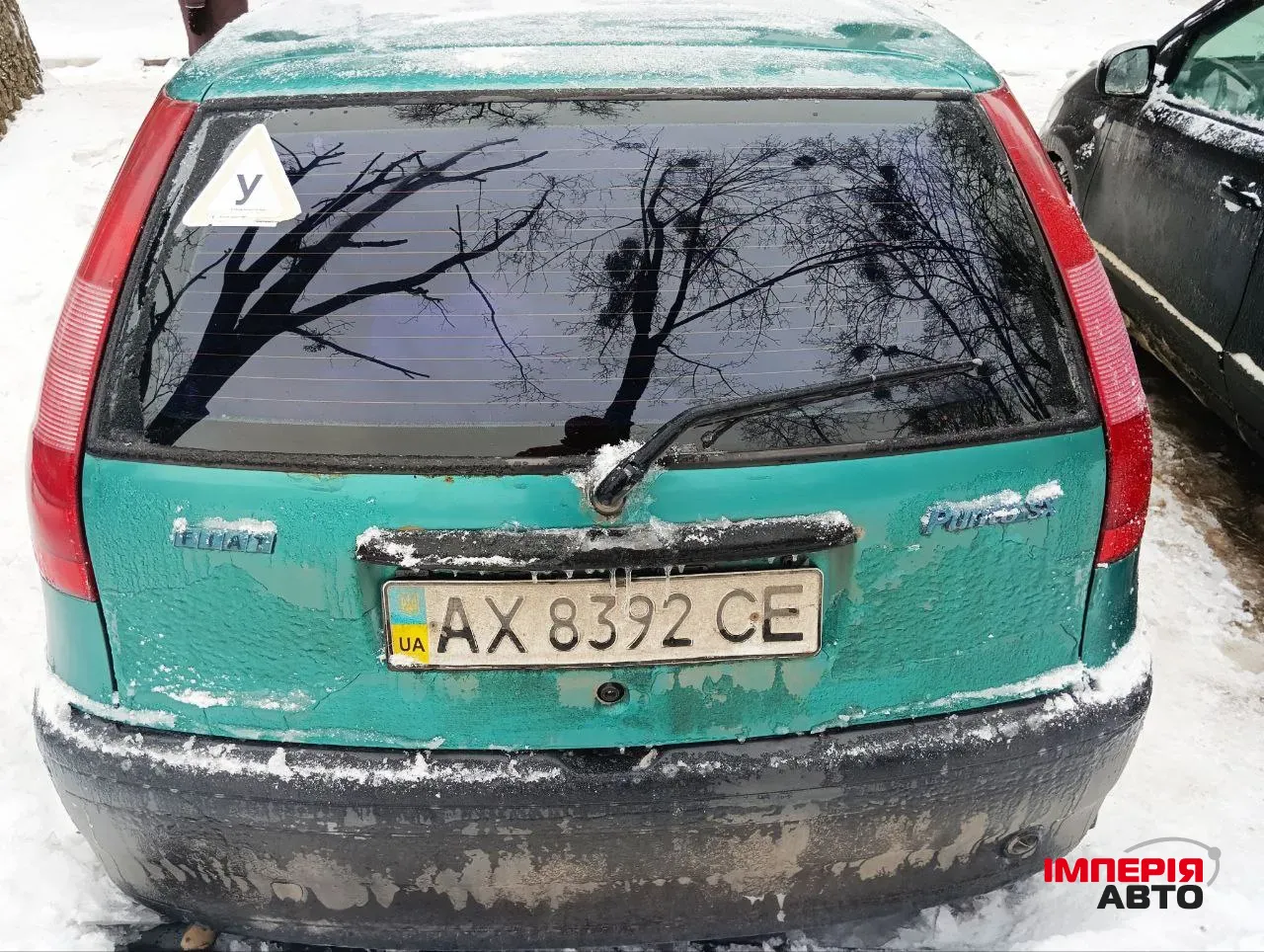 Fiat Punto - фото 5