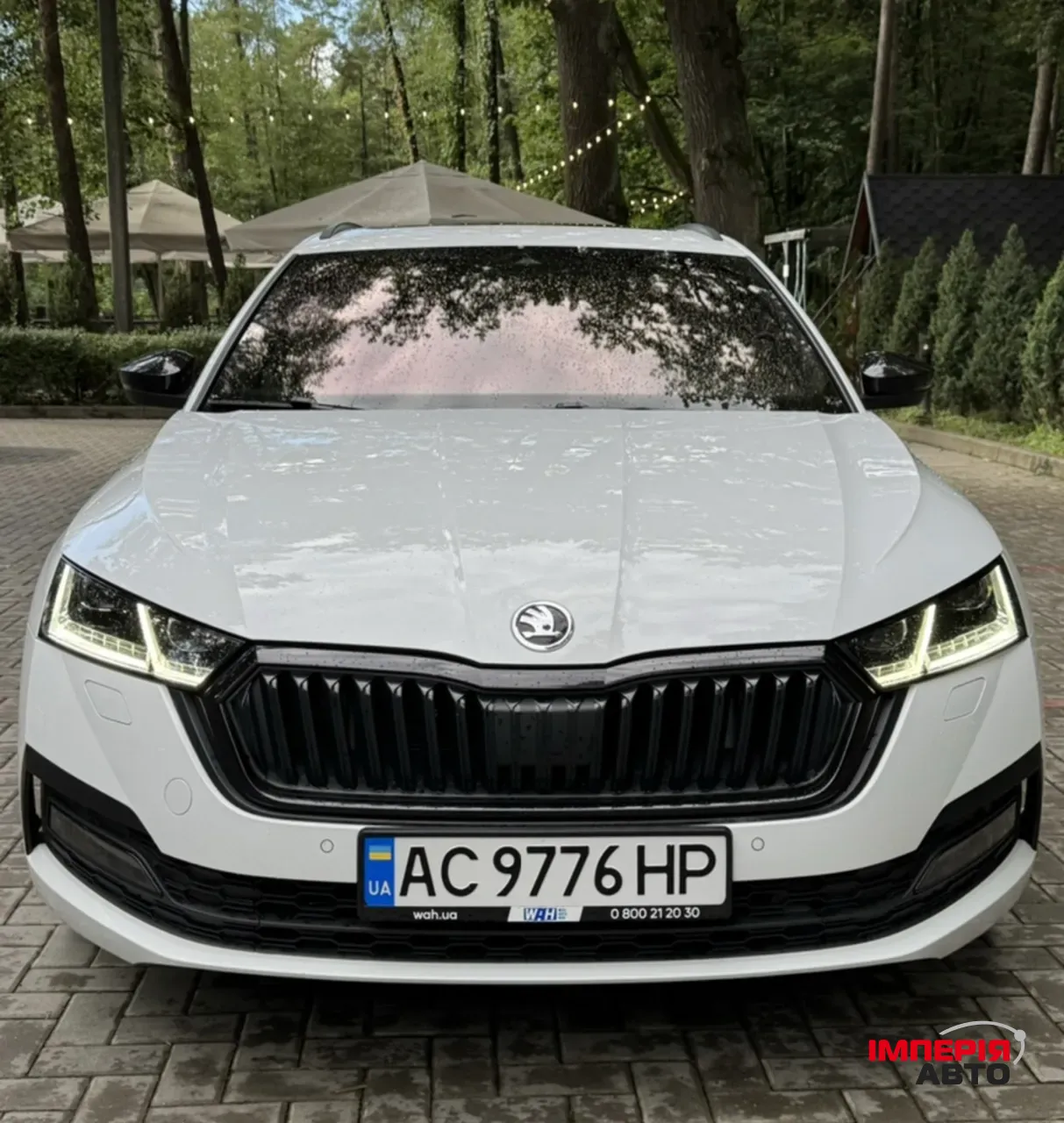 Skoda Octavia - фото 1