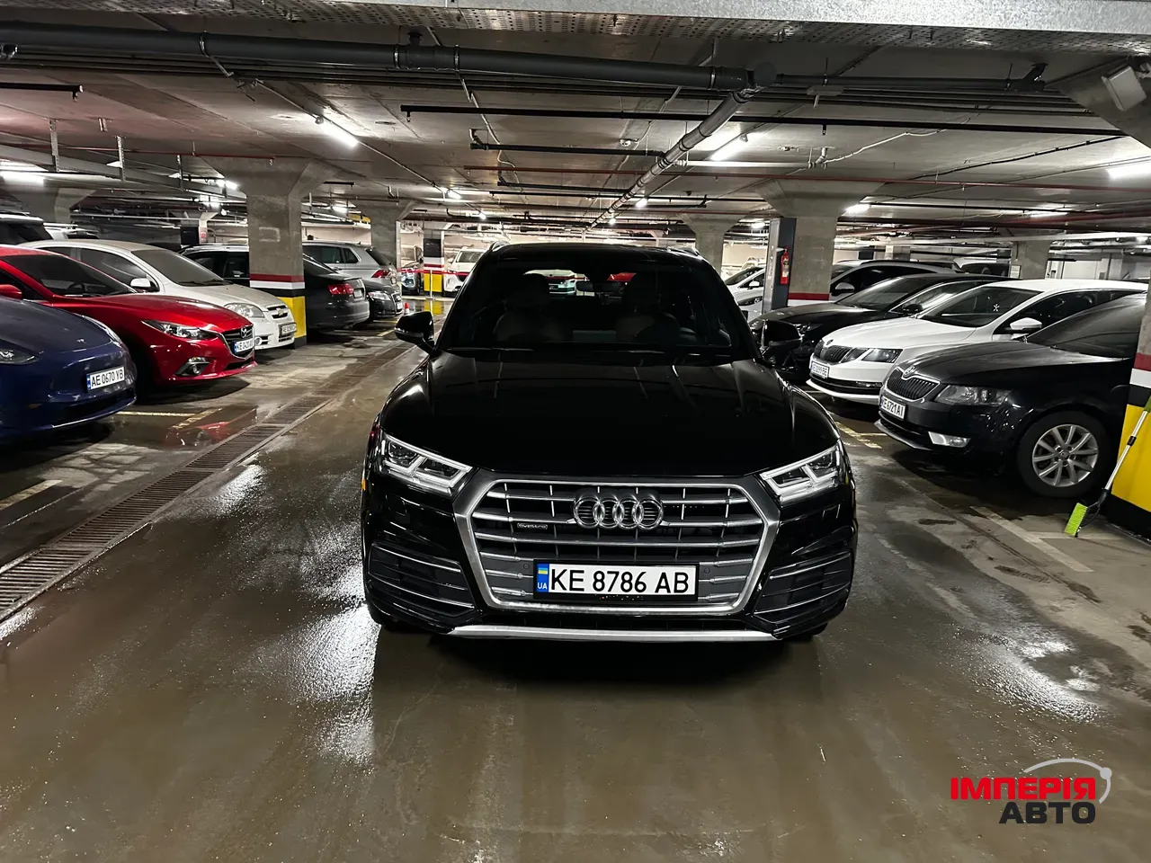 Audi Q5 - фото 16