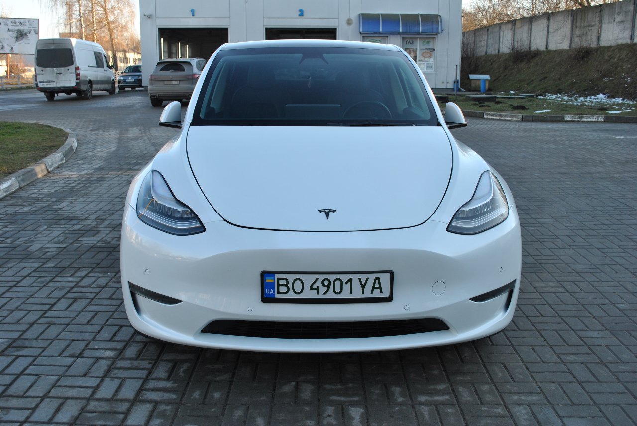 Tesla Model Y - фото 1