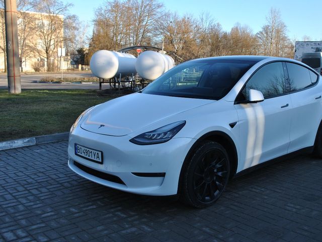 Tesla Model Y - фото 3
