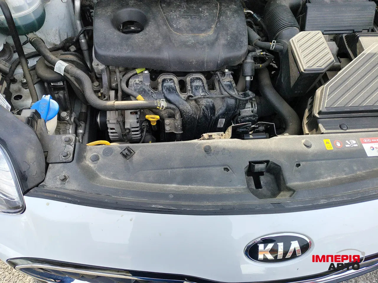 Kia Sportage - фото 28