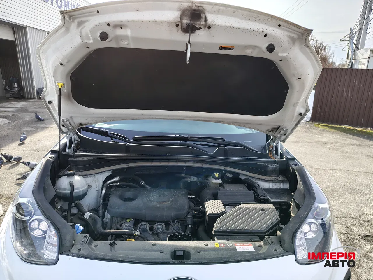 Kia Sportage - фото 30