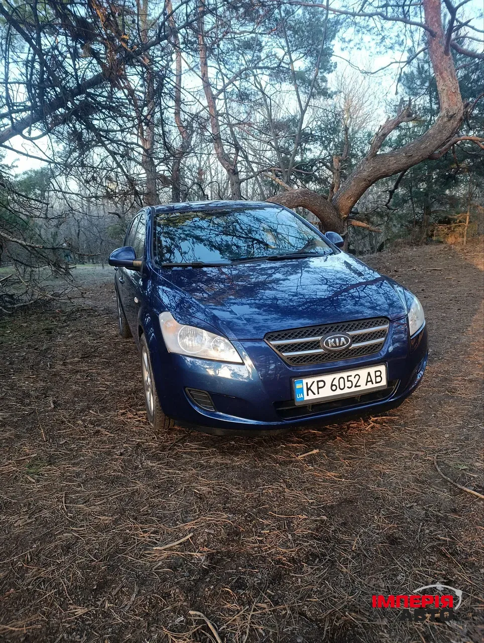 Kia Ceed - фото 10