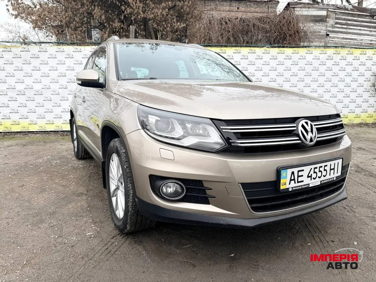 Volkswagen Tiguan - фото 4