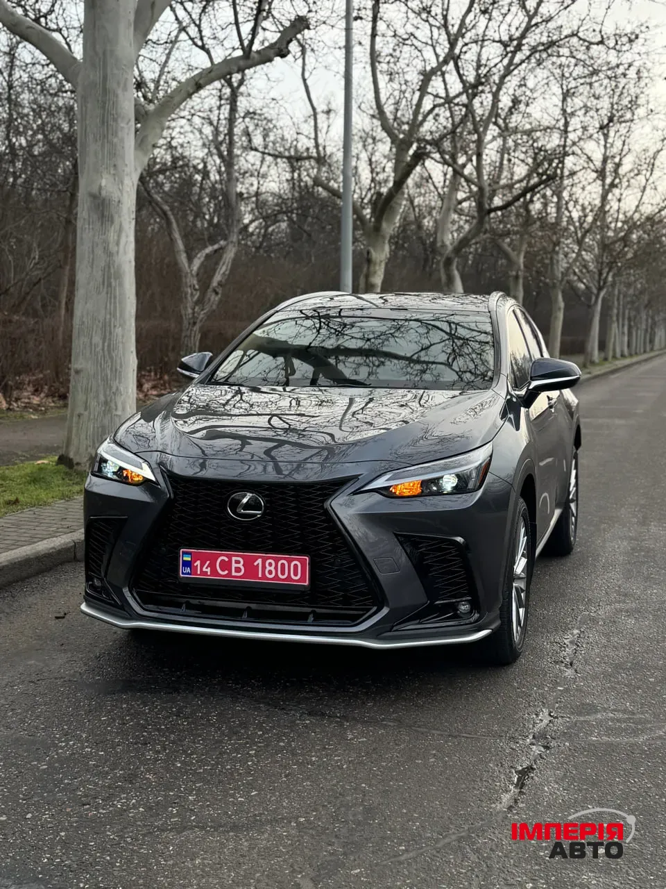 Lexus NX - фото 2