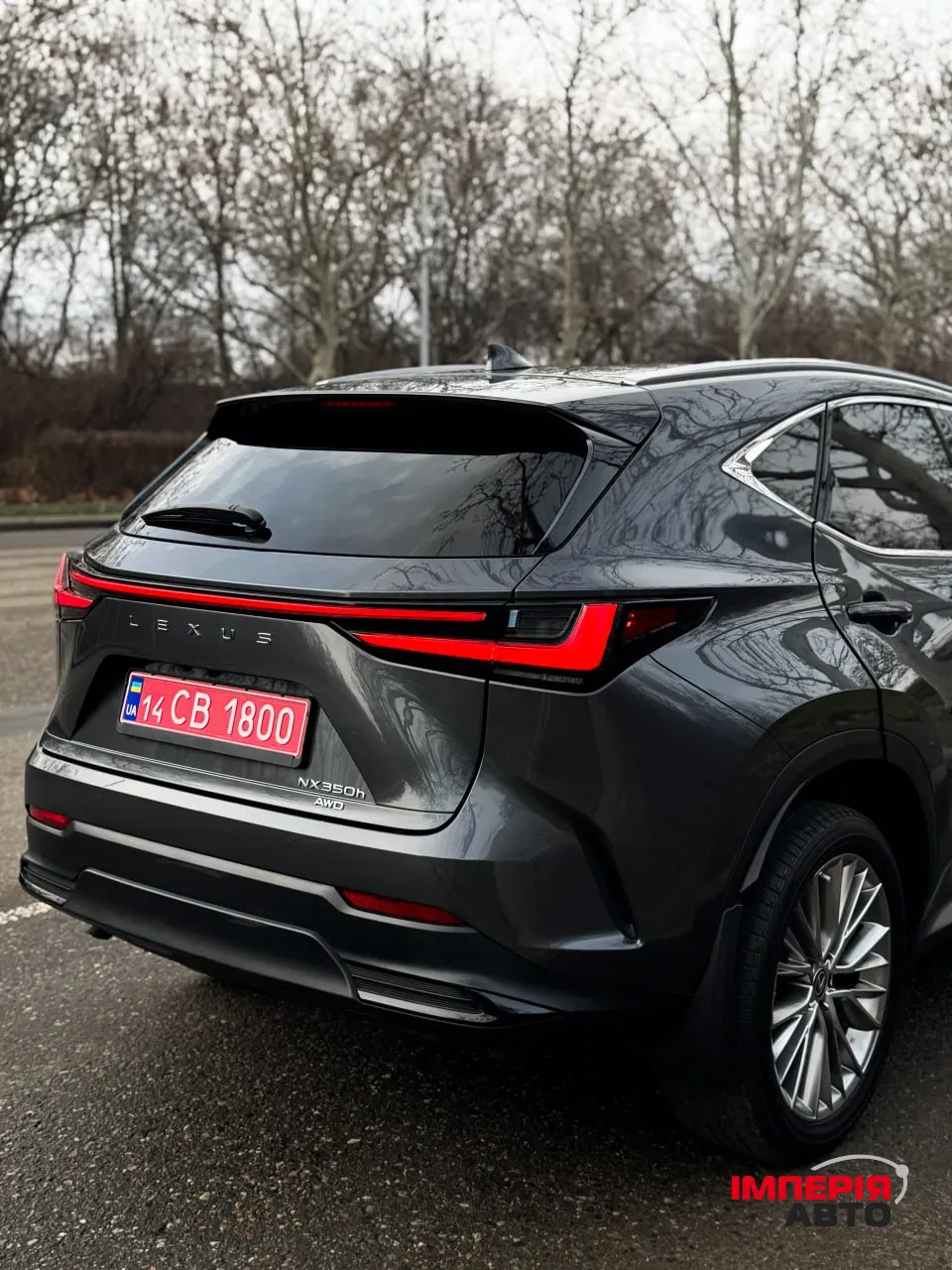 Lexus NX - фото 19