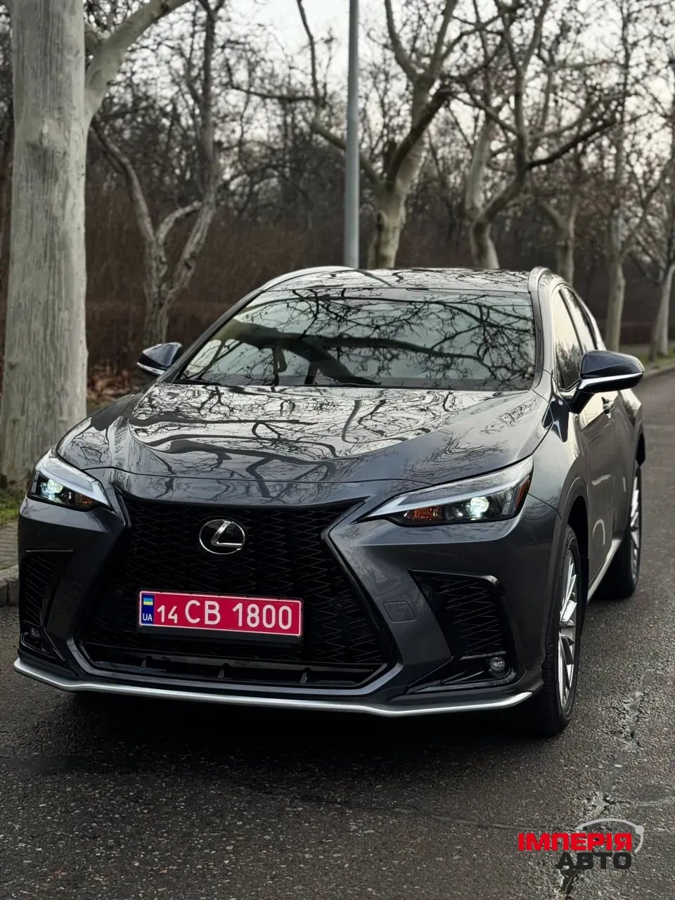 Lexus NX - фото 18