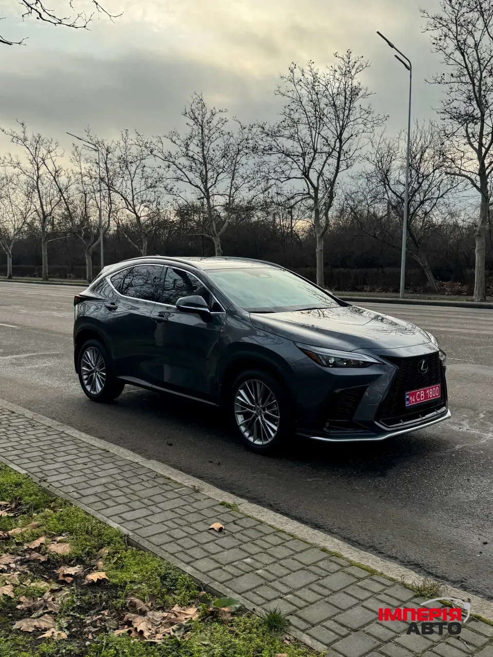 Lexus NX - фото 6
