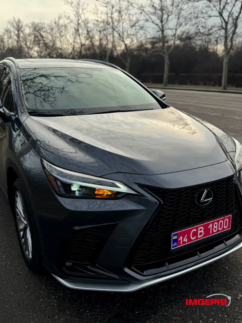 Lexus NX - фото 5