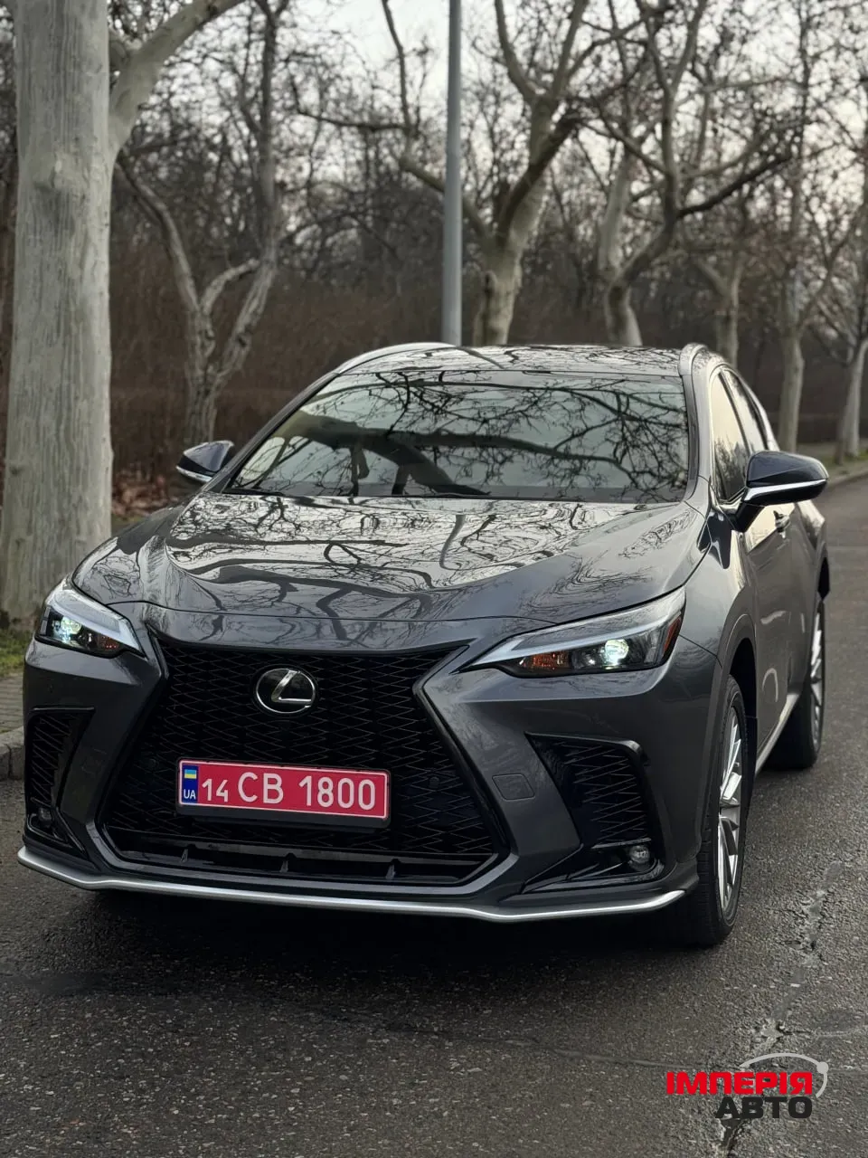 Lexus NX - фото 4