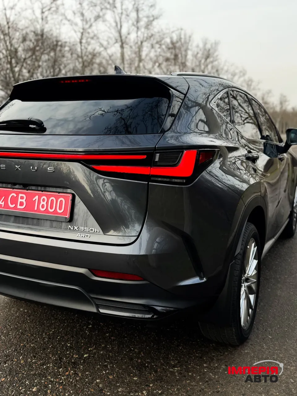 Lexus NX - фото 9