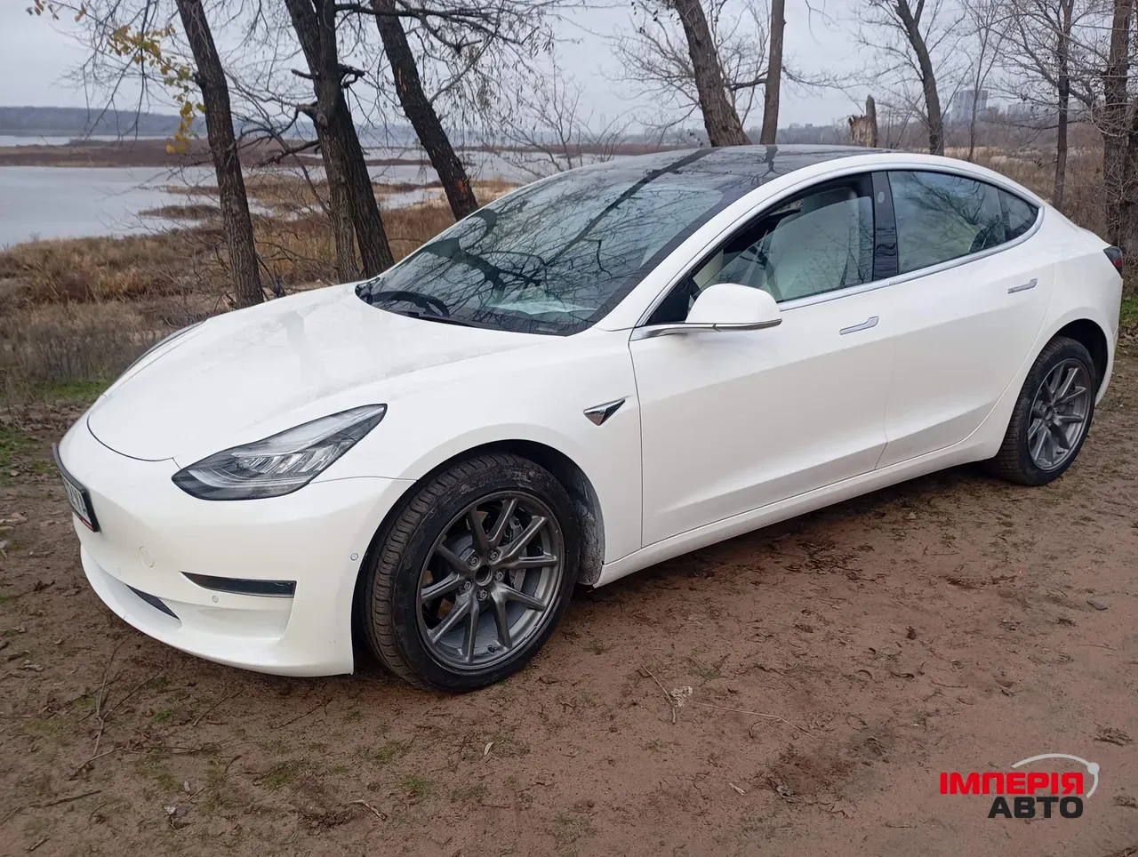 Tesla Model 3 - фото 1