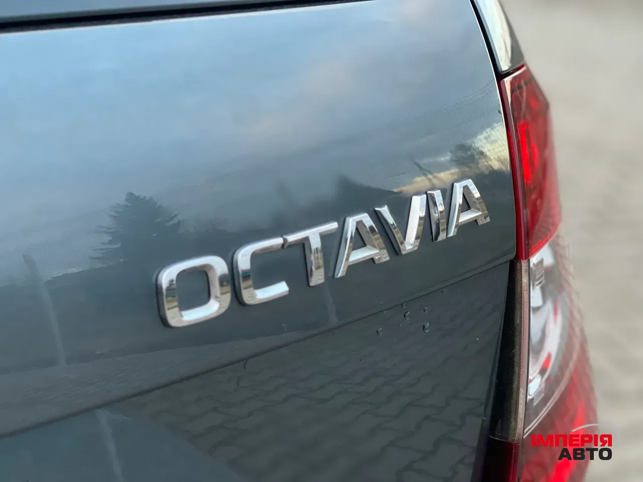 Skoda Octavia - фото 20