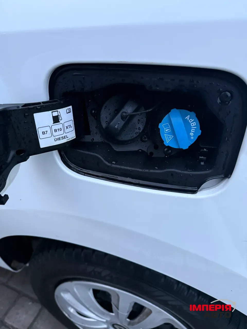 Renault Kangoo - фото 14