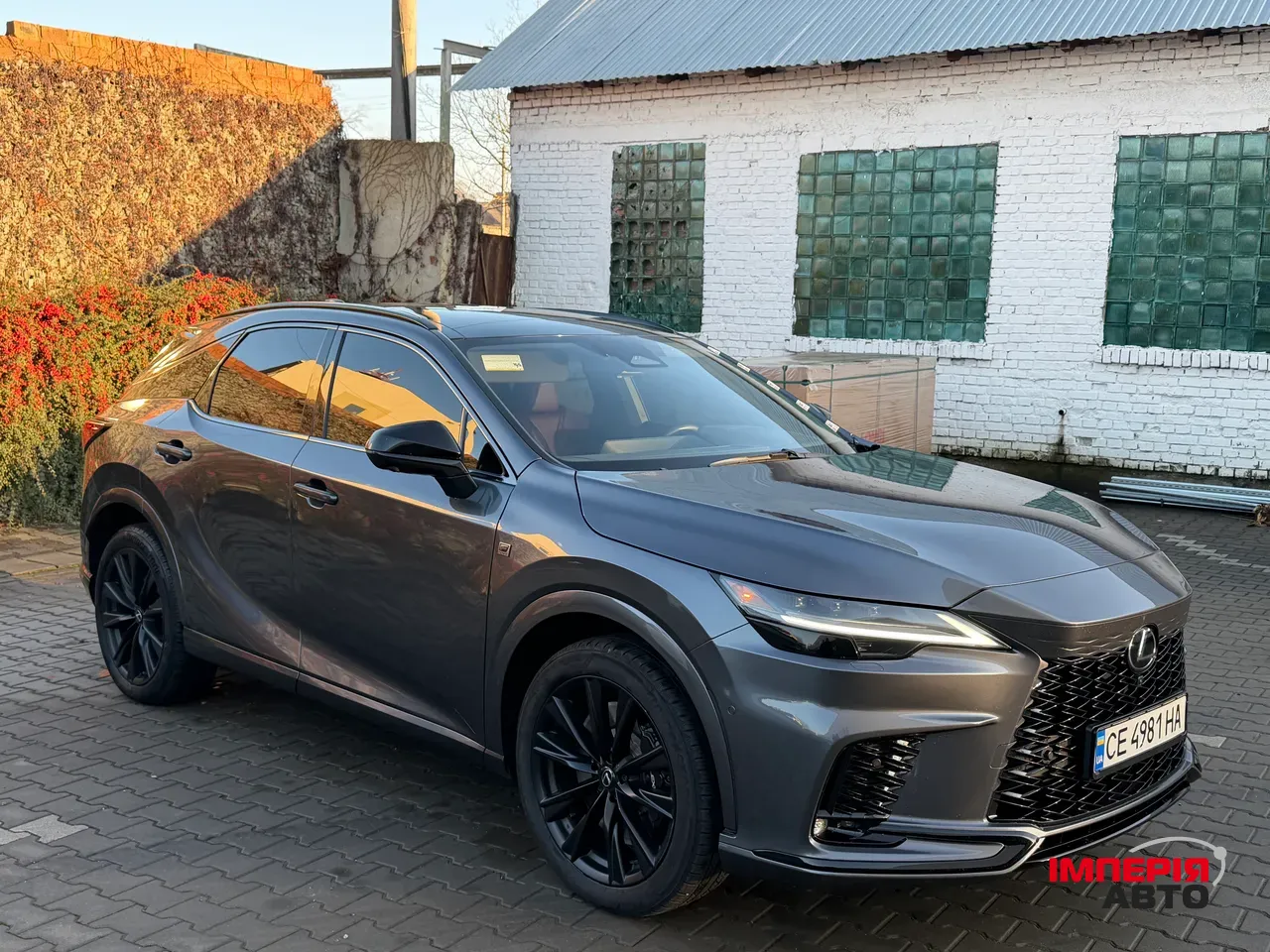 Lexus RX - фото 5