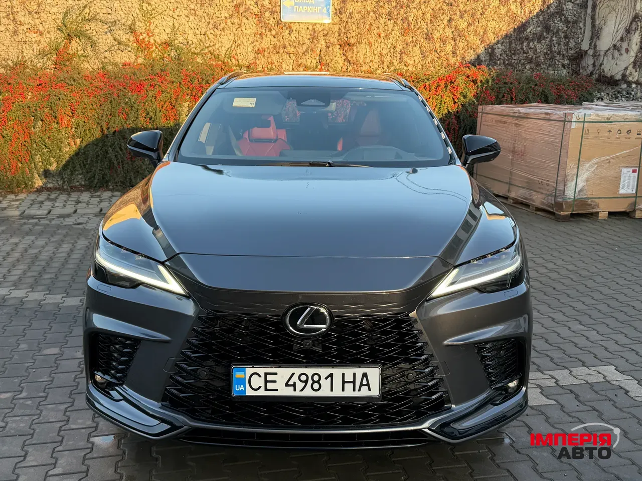 Lexus RX - фото 19