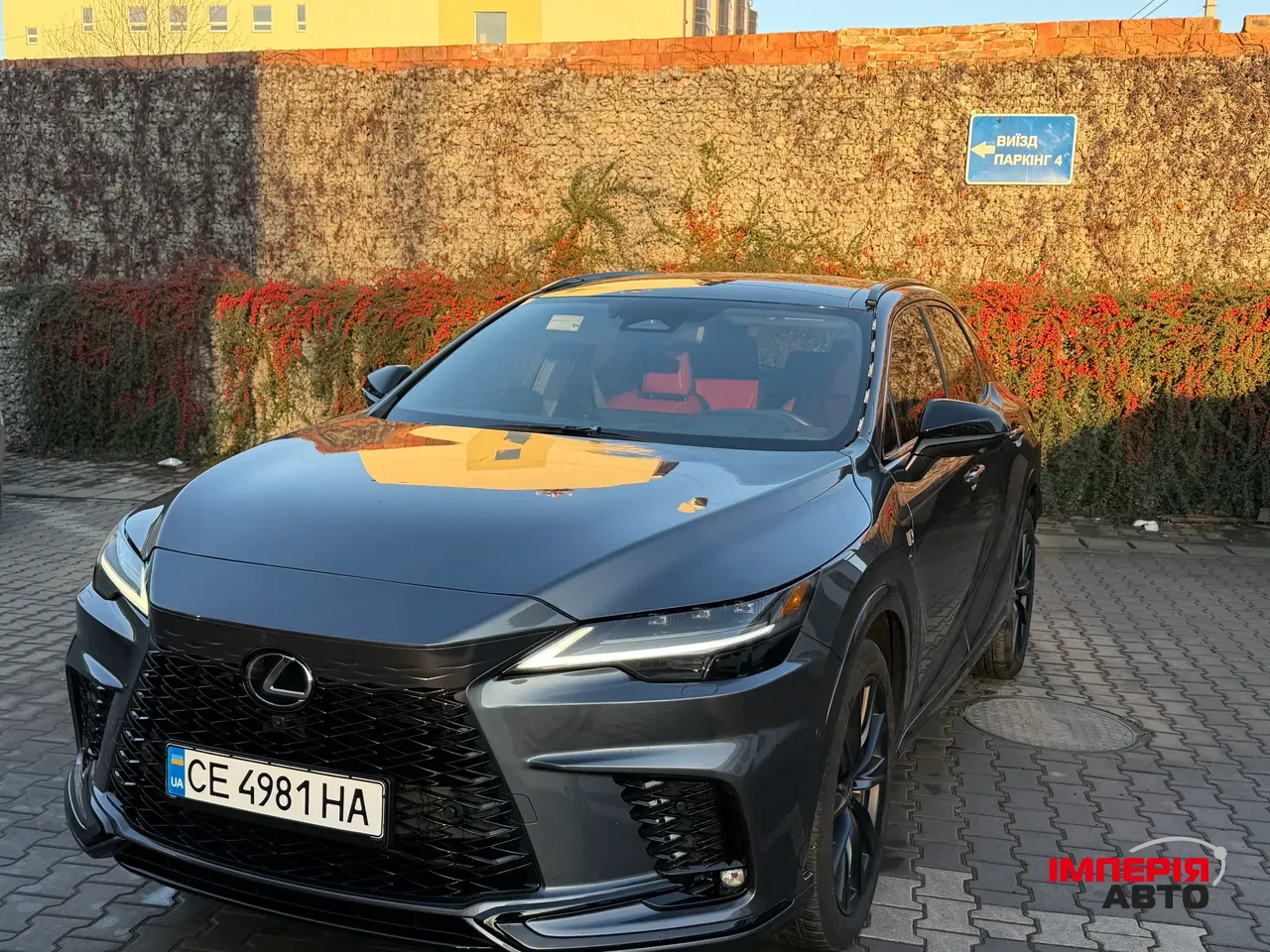 Lexus RX - фото 9