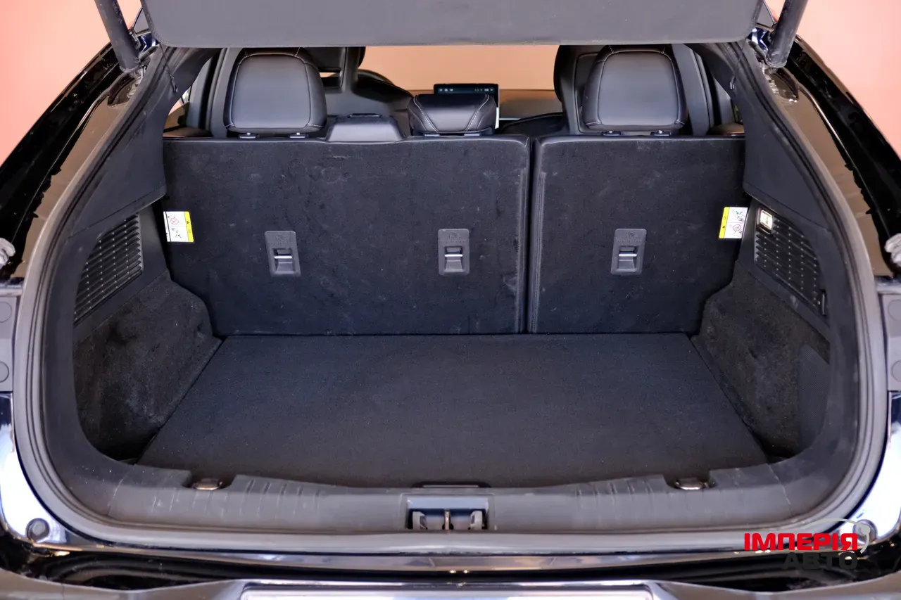 Ford Mustang Mach-E - фото 9