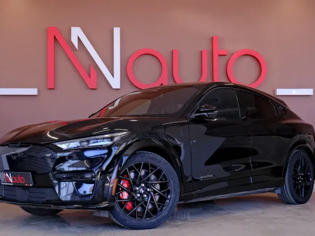 Ford Mustang Mach-E - фото 1