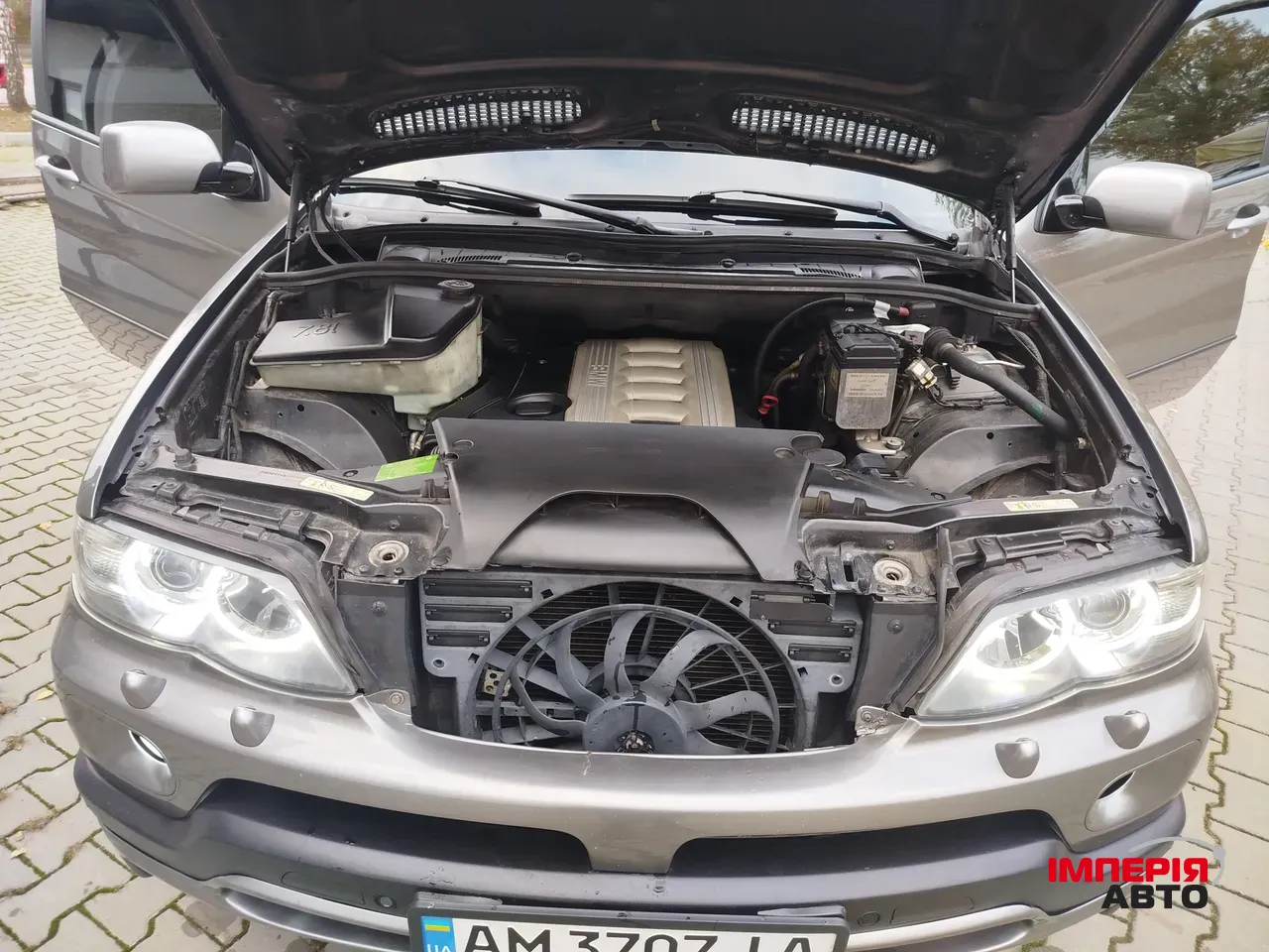 BMW X5 - фото 11