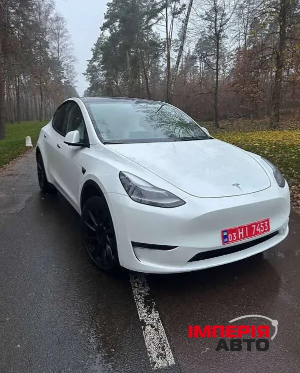 Tesla Model Y - фото 1