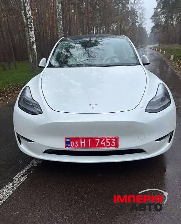 Tesla Model Y - фото 2