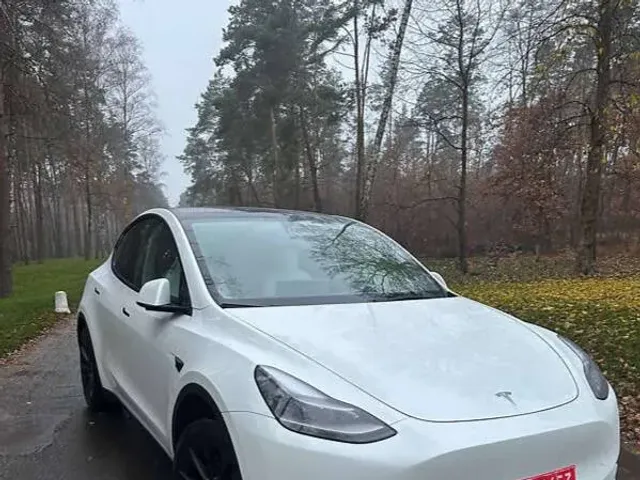 Tesla Model Y - фото 1