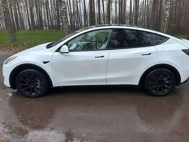 Tesla Model Y - фото 4