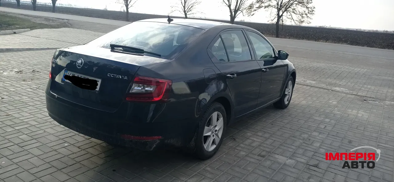 Skoda Octavia - фото 3