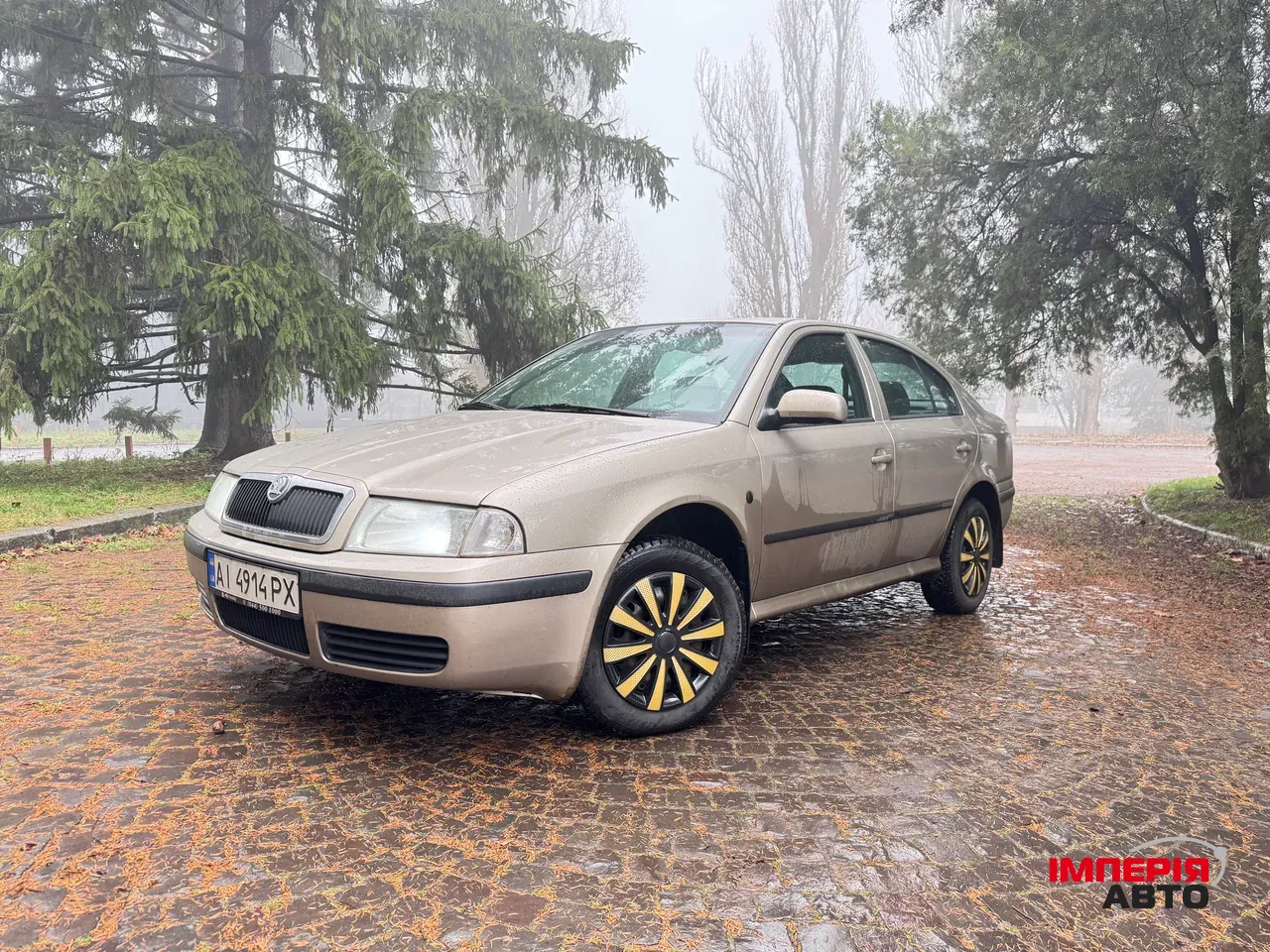 Skoda Octavia - фото 1