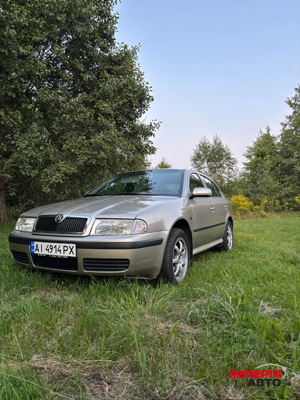 Skoda Octavia - фото 11