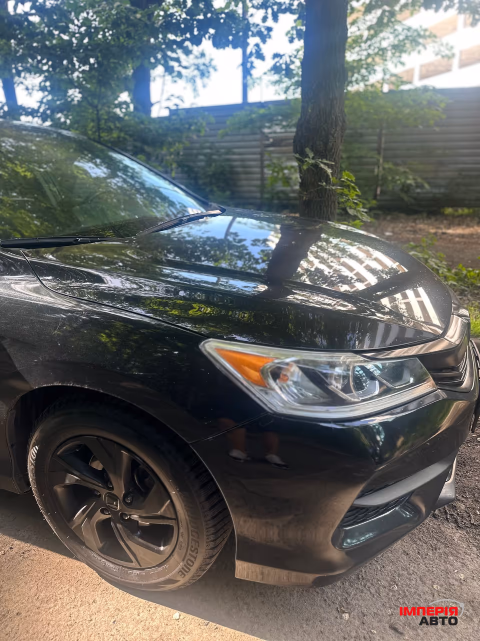 Honda Accord - фото 3