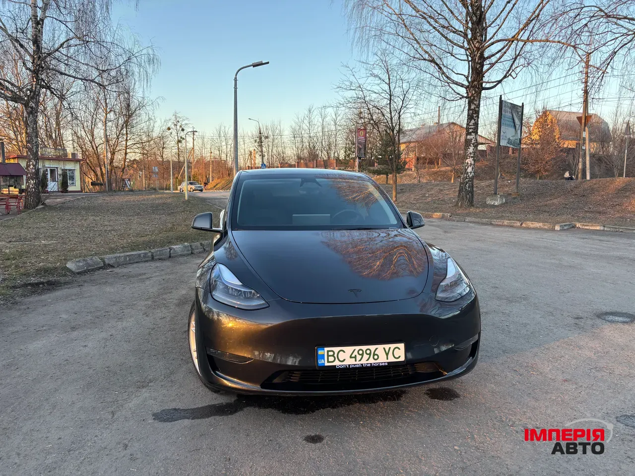 Tesla Model Y - фото 6