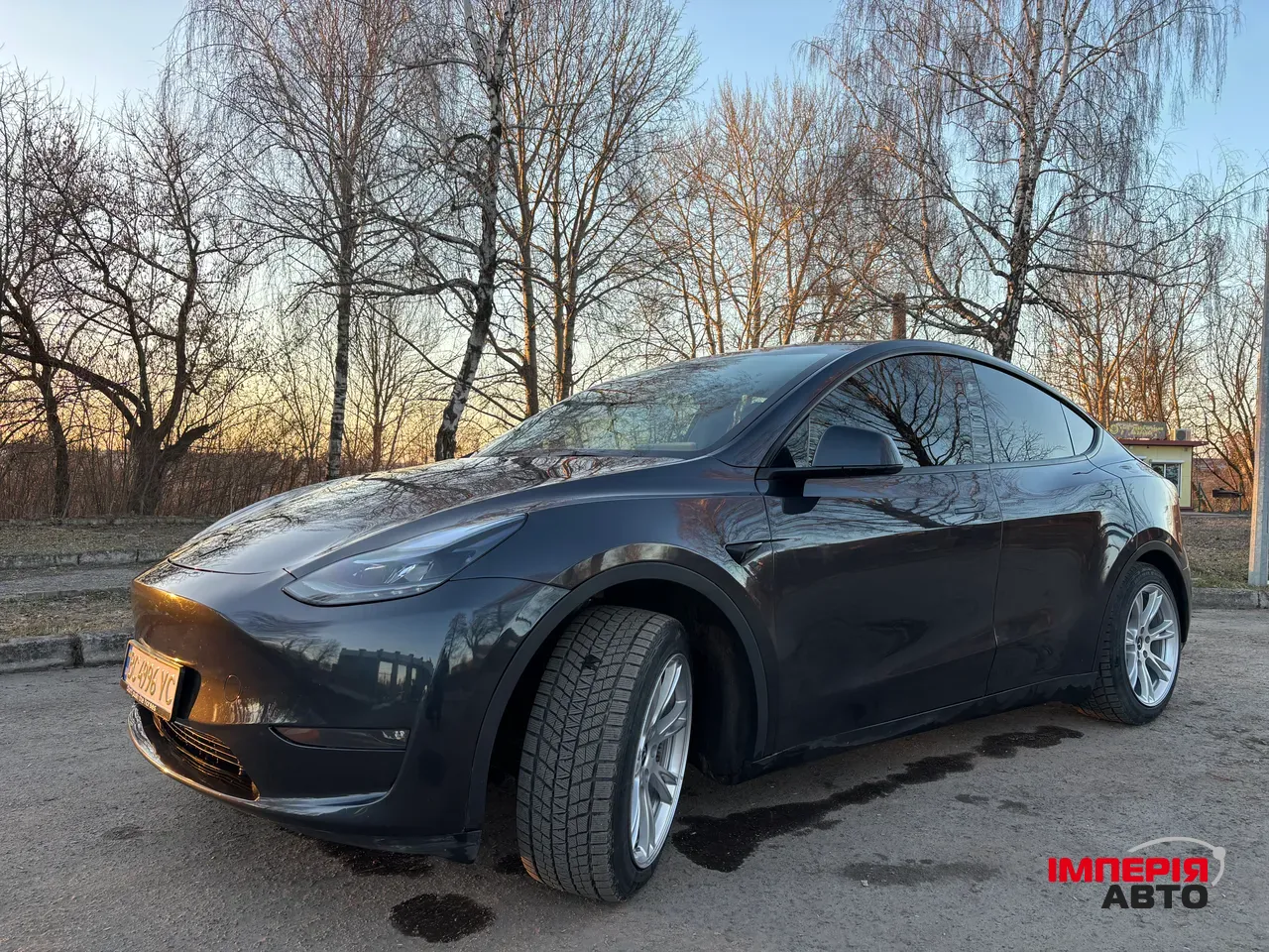 Tesla Model Y - фото 2