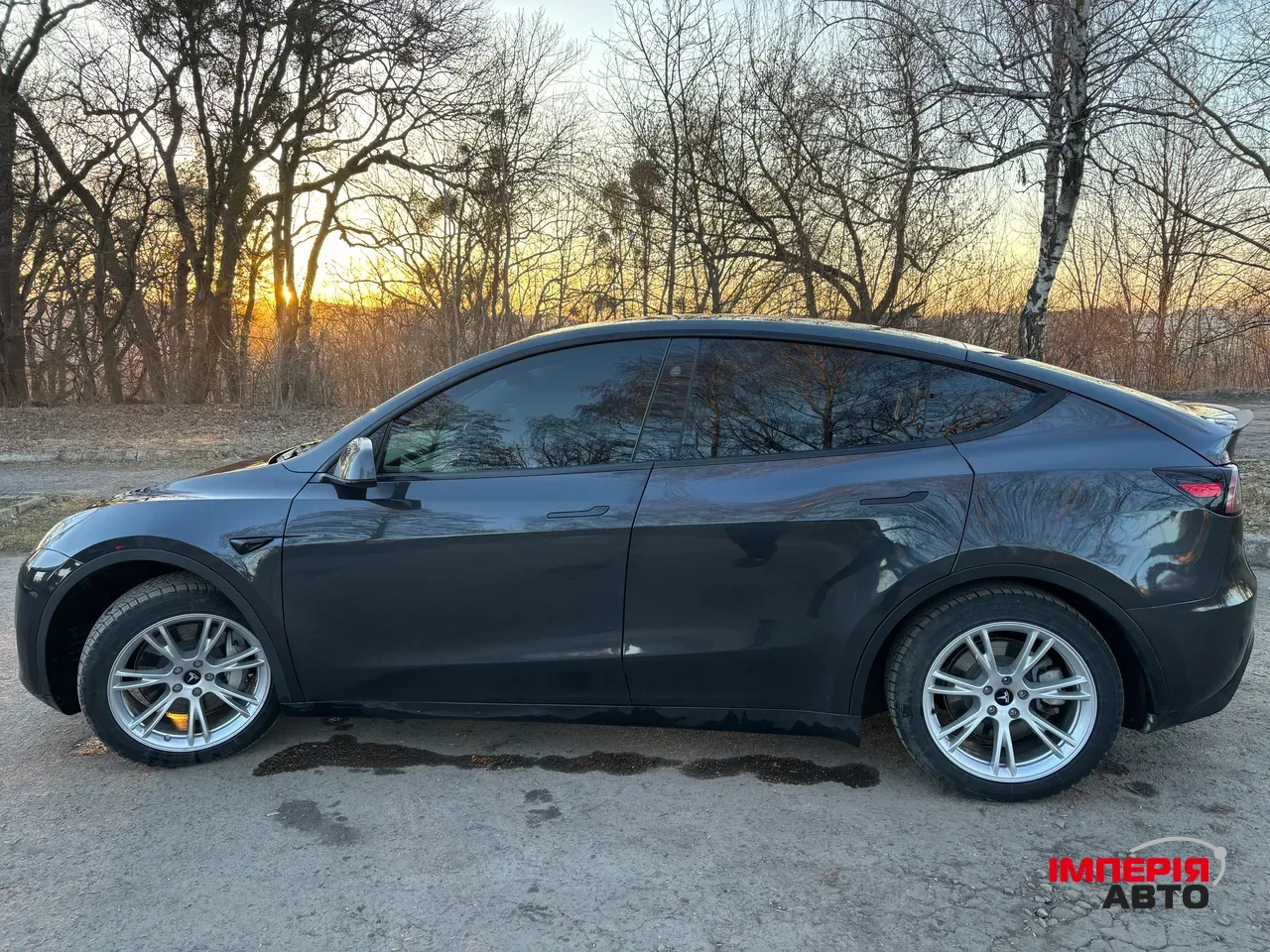 Tesla Model Y - фото 4