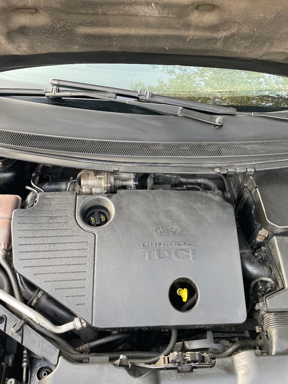 Ford Focus - фото 11